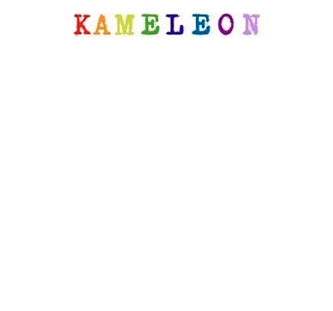 Kameleon Interieur